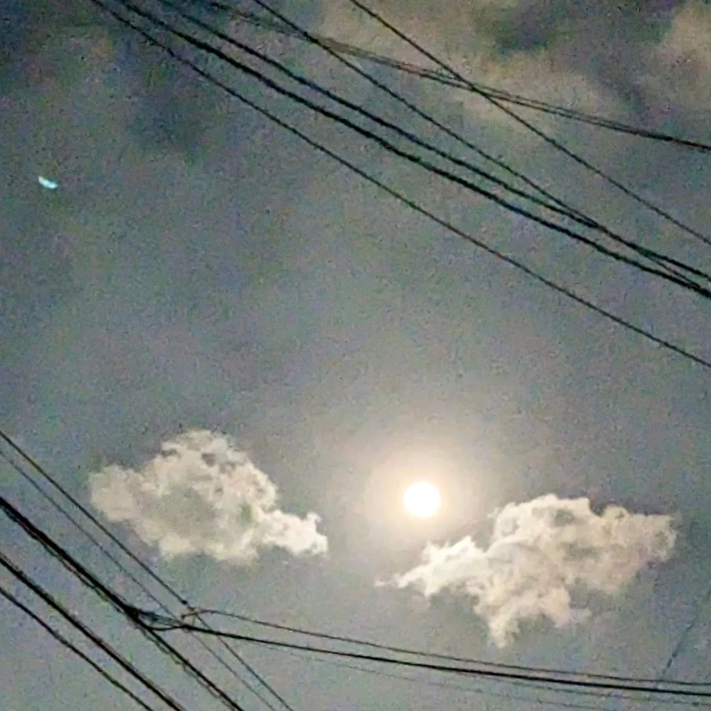 画像1353