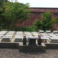 画像1379