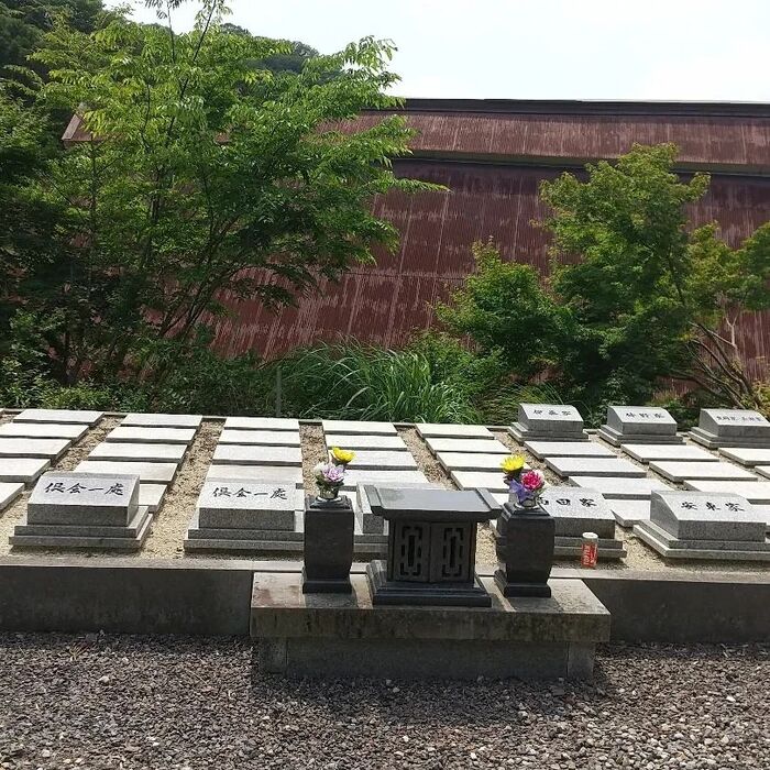 画像1379