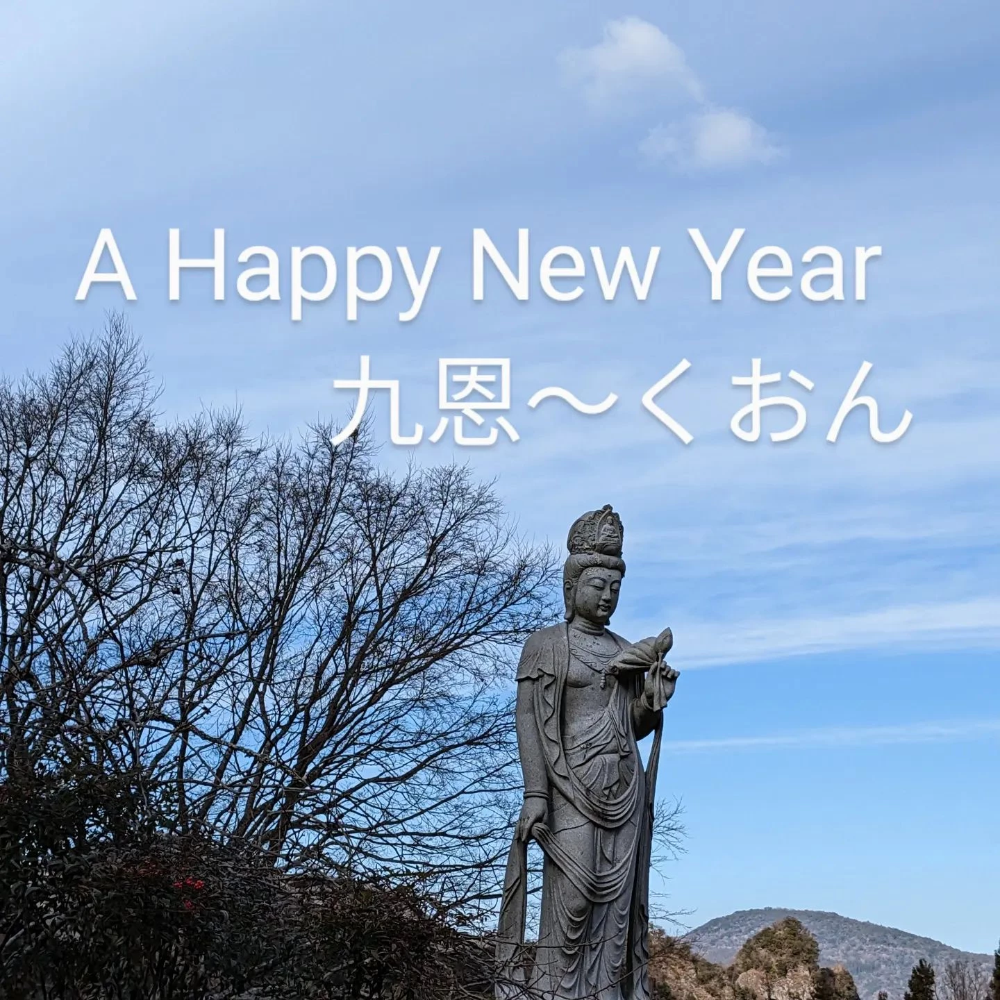 画像1382