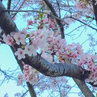 画像1434