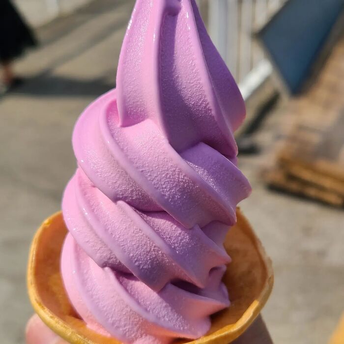 画像1455