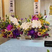 画像1461