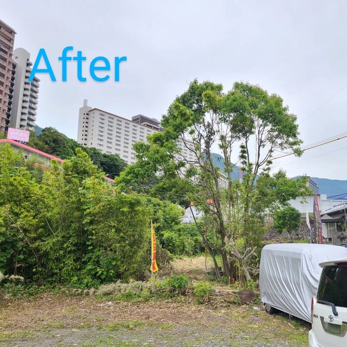 画像1484