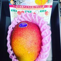画像1523