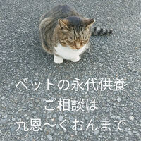 画像1585