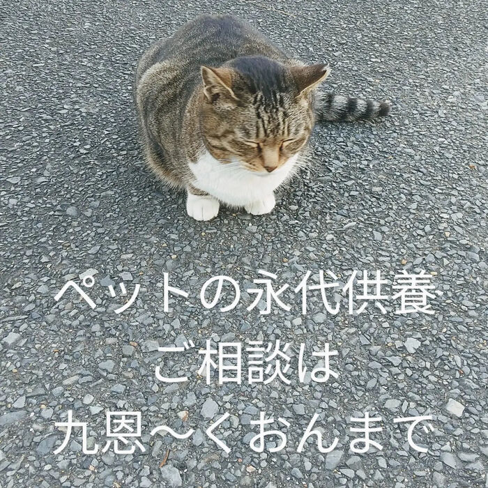 画像1585