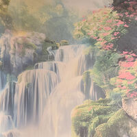画像1647